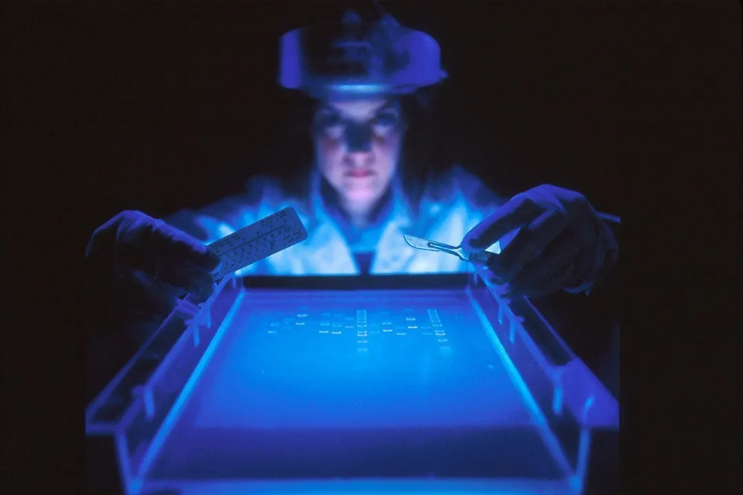 Formation aux tests de cannabis (chromatographie sur couche mince), y compris la certification